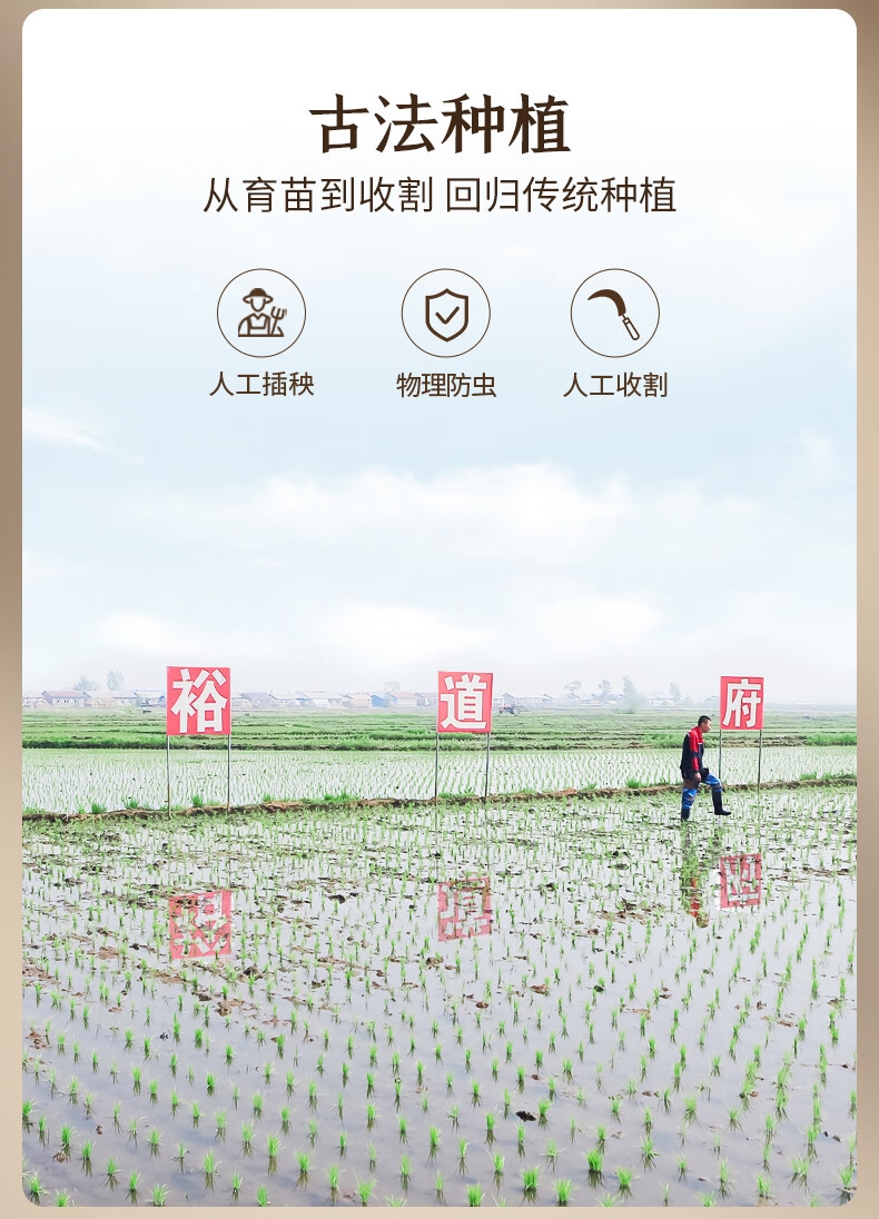 详情6.jpg