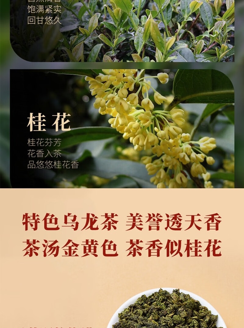 详情13.jpg